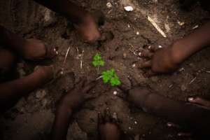 Teaching children to grow their own food!