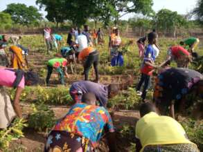 working in the garden