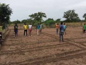 Preparing the garden