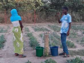 Watering the vegetables