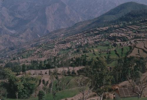 Providing Access to Credit in Southern Nepal