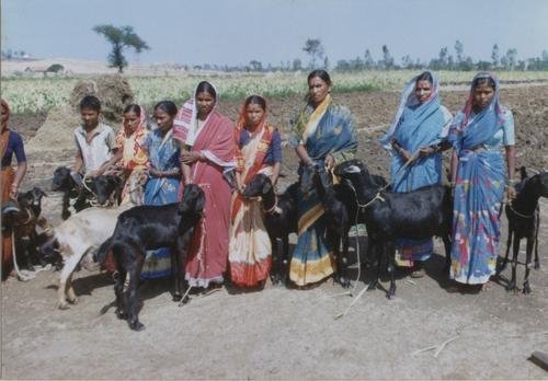 Providing Access to Credit in Southern Nepal