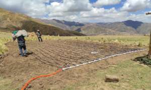 Finalizing the installed irrigation system
