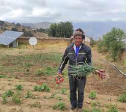 harvesting