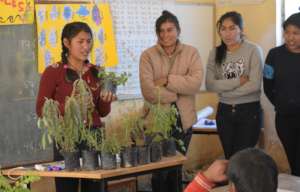 lesson on nutrition
