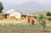 Combating Food Insecurity in the Bolivian Andes