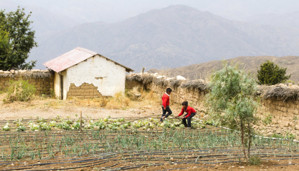 Combating Food Insecurity in the Bolivian Andes