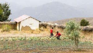 Combating Food Insecurity in the Bolivian Andes