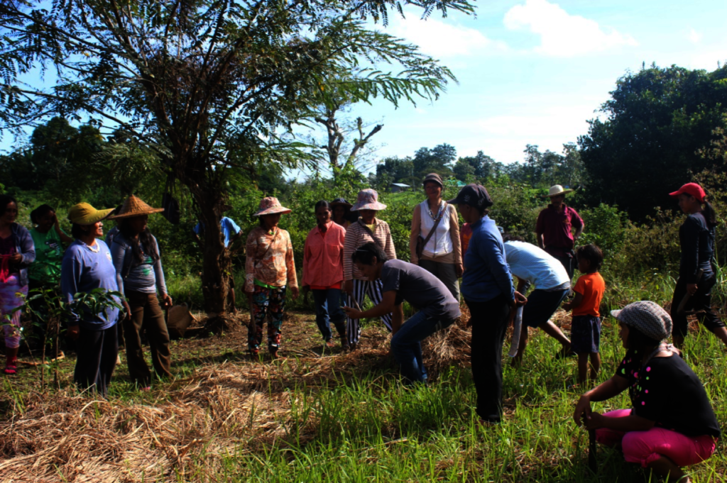 Typhoon Vamco and Goni Permaculture Support