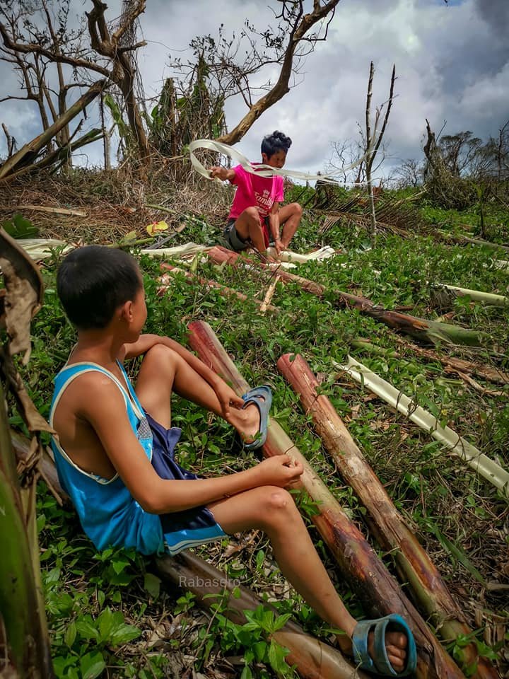 Typhoon Vamco and Goni Permaculture Support