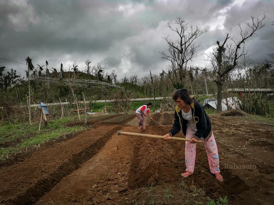 Typhoon Vamco and Goni Permaculture Support