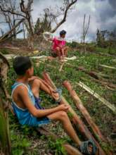 Harvesting what abaca is left after the typhoon