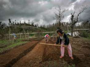 Resilience: tilling the soil again after the storm