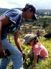 Partners planting