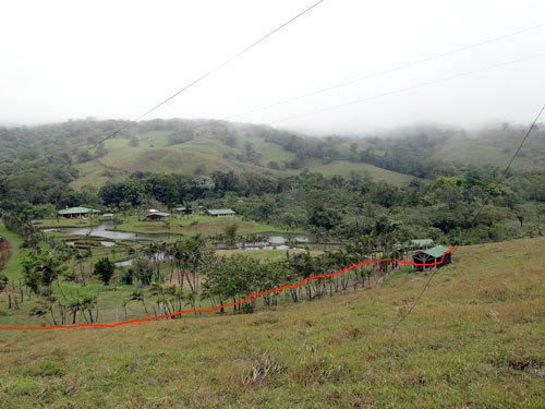 Increasing Tenorio Volcano Forest, Costa Rica