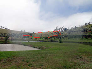 2nd project field