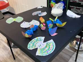 Butterfly Life Cycle