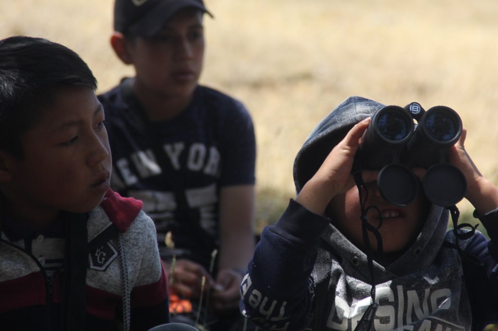 Field activity with children next to local wetland