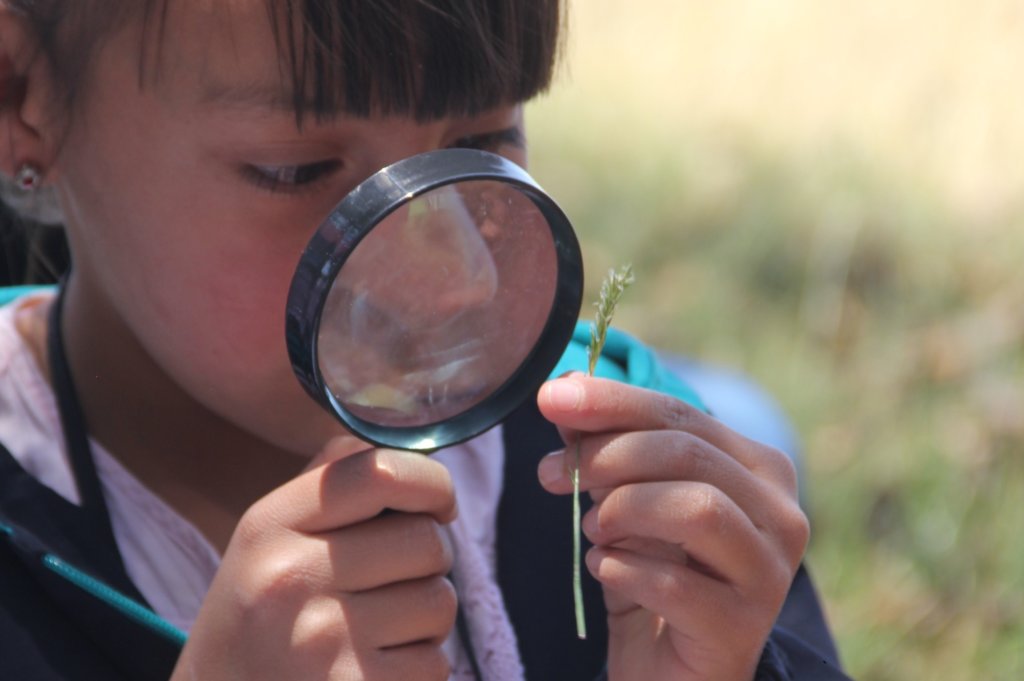 Children exploring a close-up of nature