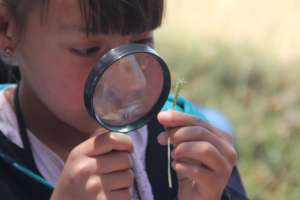 Children exploring a close-up of nature