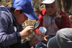 Curiosity for nature by a close-up view