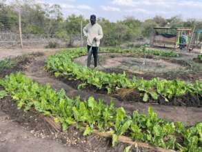 Beautiful farm at Seville B growing vegetables