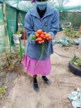 harvesting from our garden to add nutrition