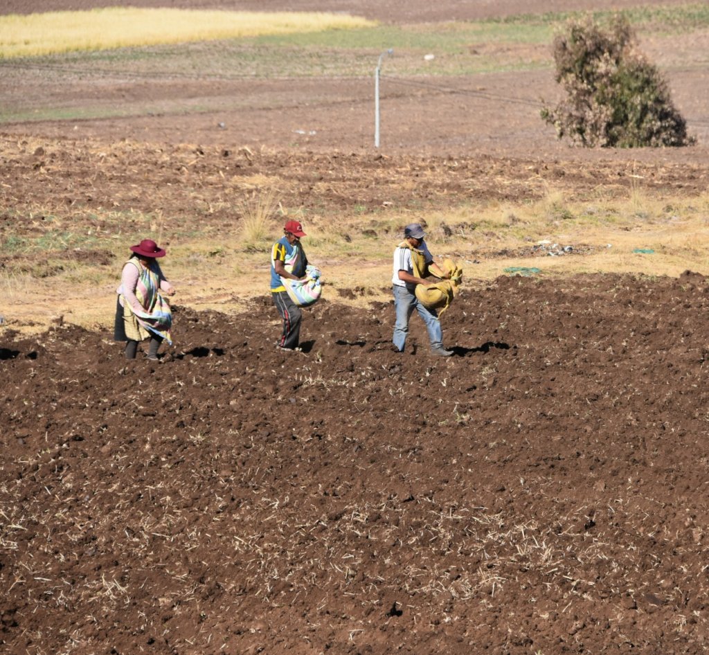 Ayni Relief Fund for Indigenous Peoples of Peru