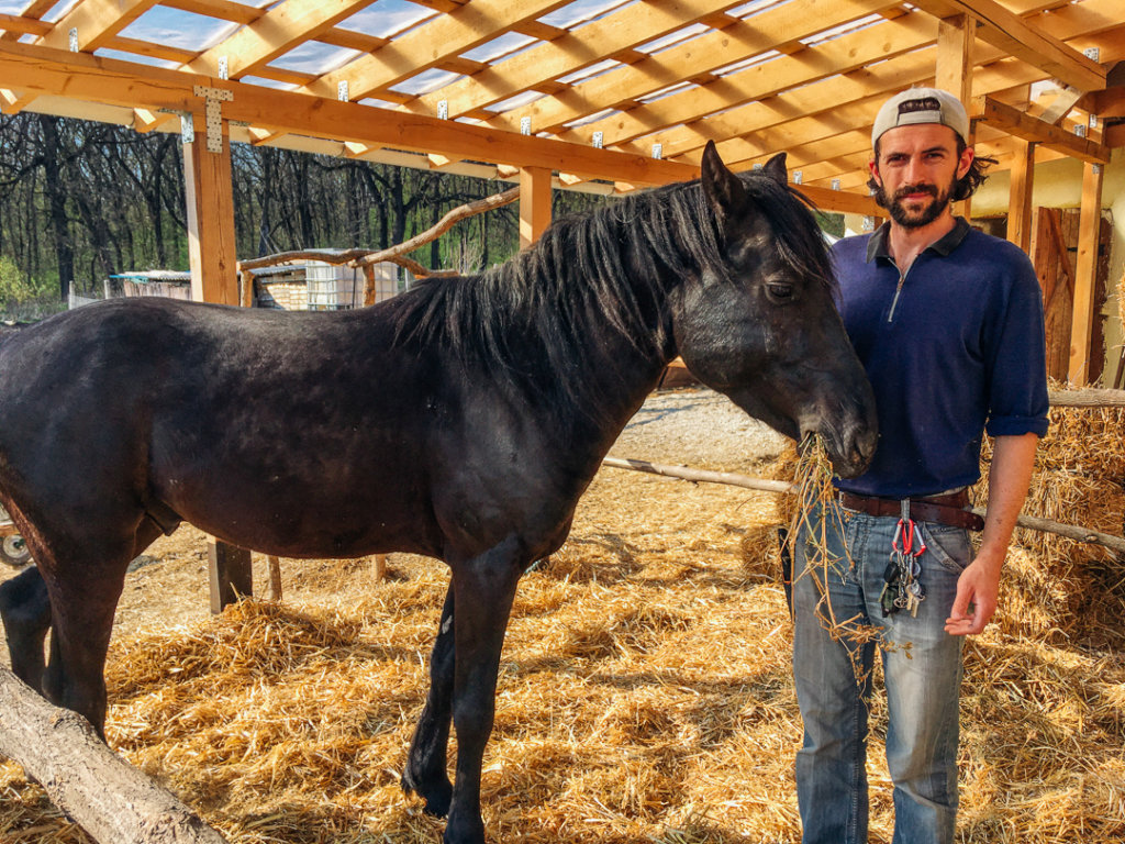 Natural horsemanship for Moldova's village horses