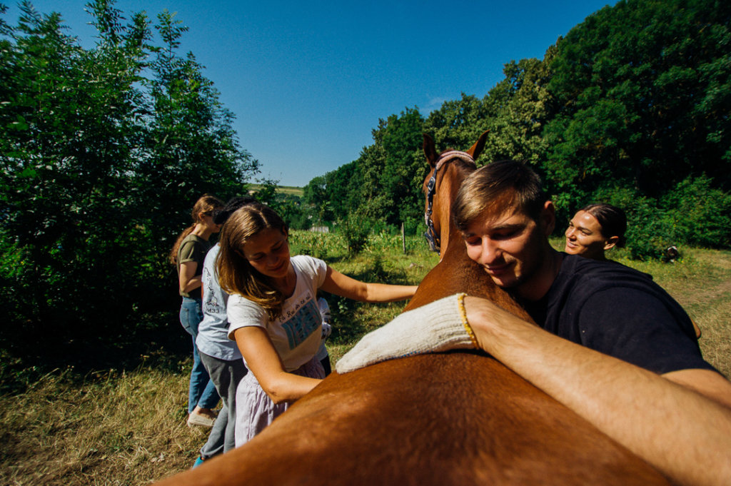 Natural horsemanship for Moldova's village horses