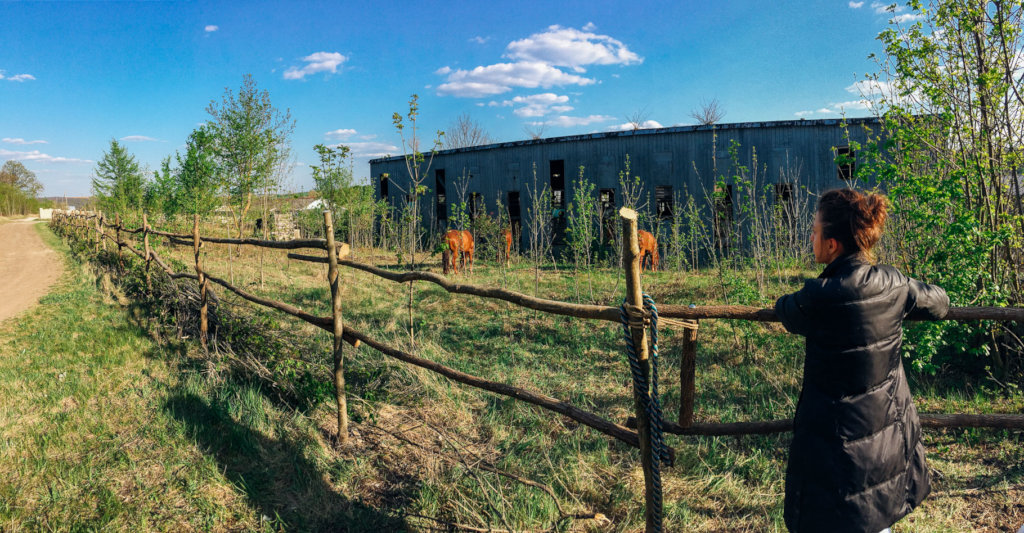Natural horsemanship for Moldova's village horses