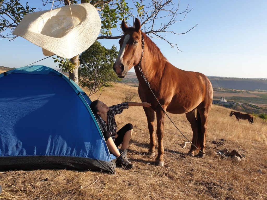 Natural horsemanship for Moldova's village horses