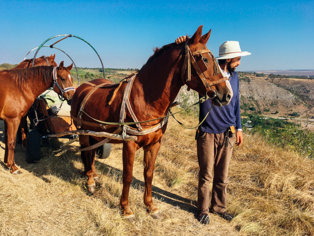 Natural horsemanship for Moldova's village horses
