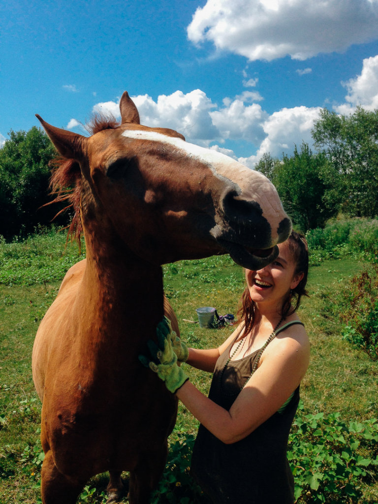 Natural horsemanship for Moldova's village horses