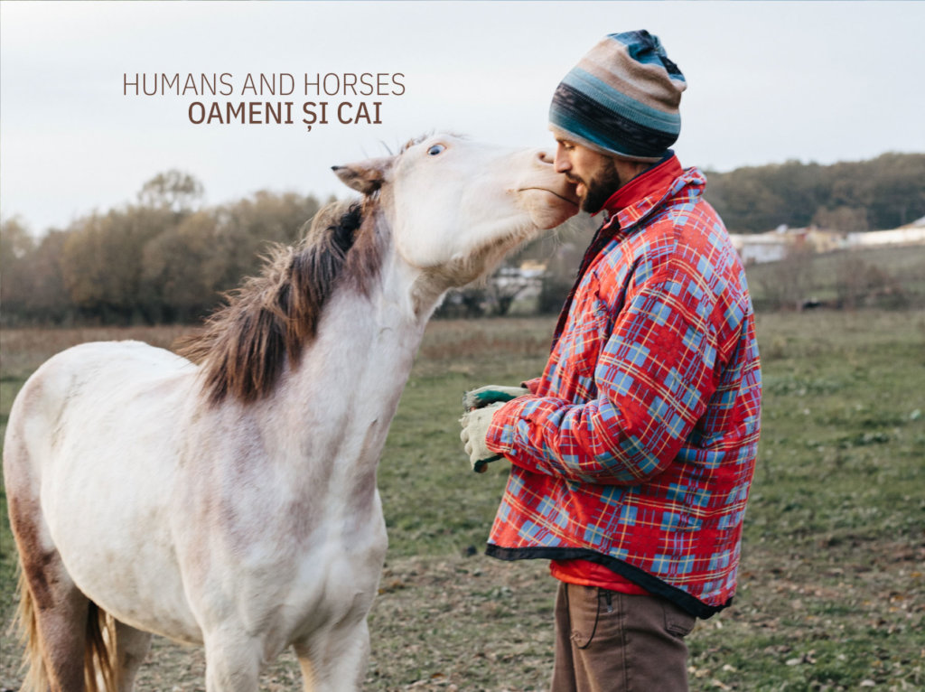 Natural horsemanship for Moldova's village horses