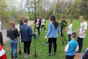 Panting trees during  activities of our org