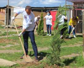 Panting trees during  activities of our org