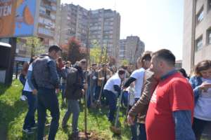 Panting trees during  activities of our org