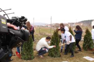 Panting trees during  activities of our org
