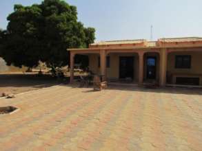 BARKA's new office and mango tree!