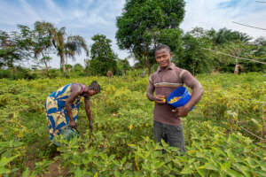 Matthew picks vegetables. Photo by Alison Wright.