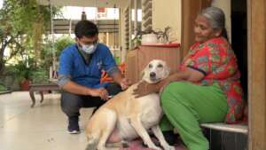 Anti rabies vaccination provided at the doorstep