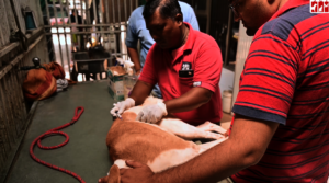 vaccination in our facility