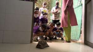 Seeing a tortoise for the first time