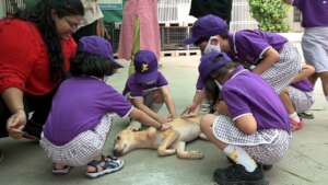 playtime with our furry friend