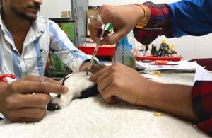 Doctor is giving injectable medication