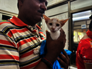 Recovery after surgery