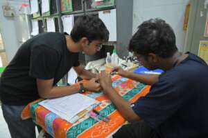 Treatment in progress for the Bay-backed Shrike