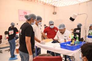 Pigeon treatment area