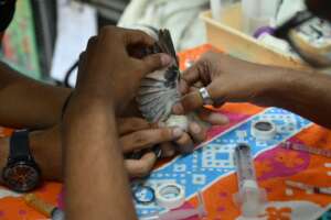 Vet is checking for the injury